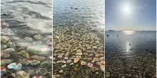 Il Mare dei Ricordi di Livorno: centinaia di pietre per non dimenticare