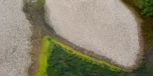 Si aggrava la crisi del Po, l&rsquo;acqua marina risale il Delta. Anbi: &ldquo;Come un bollettino di guerra&rdquo;
