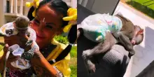 &ldquo;La tratto come una figlia e resta con me. Le ho pure preso il pupazzo di Topolino&rdquo;: Rita De Crescenzo mostra la sua scimmia sui social e scoppia la polemica