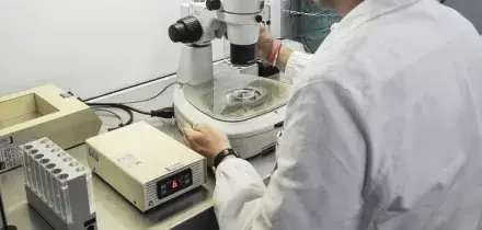 Scambio di embrioni all&rsquo;ospedale San Raffaele, la spiegazione del direttore del centro: &ldquo;Una biologa lesse la riga sbagliata al computer&rdquo;