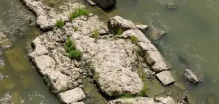 Siccit&agrave; a Roma, dal Tevere in secca riemergono i resti di un ponte romano