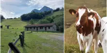 Rifugi che chiudono, vacche senz&rsquo;acqua e meno formaggio: cos&igrave; la siccit&agrave; (e il caldo anomalo) mettono in ginocchio le Alpi