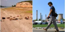 Clima, la sete del Danubio mette in crisi le centrali nucleari in Ungheria e Romania. Bucarest la spegne e chiede &ldquo;consumo responsabile&rdquo; ai cittadini