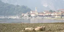 Spiagge di centinaia di metri, barche in secca: la siccit&agrave; svuota fiumi e laghi del Nord. Gli effetti invisibili: &ldquo;Nell&rsquo;acqua del Maggiore meno ossigeno&rdquo;