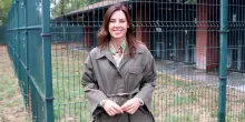 L&rsquo;eurodeputata leghista Tovaglieri racconta di aver congelato gli ovuli per una gravidanza futura: &ldquo;La fertilit&agrave; delle donne non &egrave; un tema divisivo&rdquo;