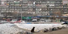 In Armenia la prossima conferenza Onu sulla biodiversit&agrave;: promesse green e crisi ambientale possono andare a braccetto?