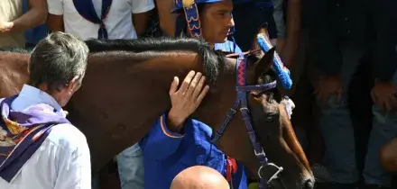 Il Nicchio vince il Palio dell&rsquo;Assunta a Siena. Tredicesimo trionfo per il fantino Tittia: ora insidia il record (14) di Aceto