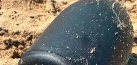Trova un&rsquo;urna funebre su una spiaggia in Puglia e il timbro del crematorio rivela la provenienza delle ceneri: sono di un 80enne emigrato in Germania