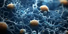 Una nuova classificazione dei neuroni per capire meglio dipendenze e disturbi psichiatrici. Lo studio su Science