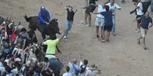 Palio di Siena: fantino e cavallo travolti dalla folla dopo il successo del Nicchio. Tittia resta ricoverato in ospedale