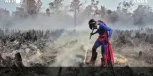 A 17 anni si traveste da Superman e aiuta a spegnere gli incendi: la storia dell&rsquo;&lsquo;Eroe della foresta&rsquo; &ndash; Video