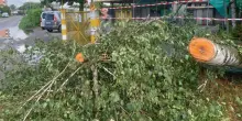 Temporali al Centro-Nord, in Lombardia la provincia pi&ugrave; colpita &egrave; Varese: voli cancellati a Malpensa. Allagamenti anche in Toscana