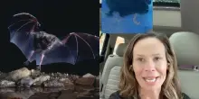 &ldquo;Un pipistrello stava cercando di infilarsi tra le mie labbra. Ho allungato la mano verso la bocca e ho toccato qualcosa di viscido e peloso&rdquo;: la storia di Krista Edelman