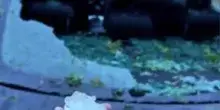 Grandine gigante nel Bresciano distrugge i vetri delle auto: il video del comico Cosmin