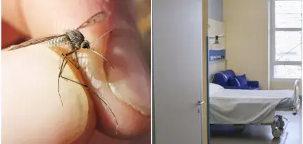 West Nile &ndash; 432 casi in Italia, 17 morti: secondo decesso a Oristano. &ldquo;Caldo e siccit&agrave; alimentano la circolazione&rdquo;