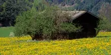 Piemonte, allevatori intossicati dal monossido di carbonio in un baita di montagna: un morto e 5 ricoverati