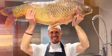 &ldquo;Lascio la stella Michelin e Milano, che corre troppo veloce, e apro un ristorante in un piccolo borgo ligure. &Egrave; stata una scelta portata dalla vita&rdquo;: cos&igrave; lo chef Riccardo Merli