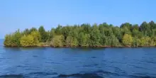 Un&rsquo;isola coperta di alberi appare, scompare e poi ricompare 30 chilometri pi&ugrave; in l&agrave;: &ldquo;Non avevo mai visto nulla di simile&rdquo;