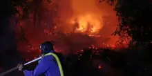 Incendi in Indonesia, scuole chiuse in Malesia: non solo El Ni&ntilde;o, dietro c&rsquo;&egrave; anche il disboscamento per cellulosa e olio di palma