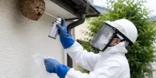 &ldquo;Sembrava che fosse scoppiata una bomba. Un rumore incredibile&rdquo;: vogliono eliminare un nido di api ma fanno esplodere la casa: feriti i due tecnici, ma l&rsquo;alveare &egrave; rimasto intatto