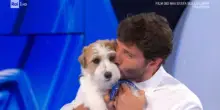 &ldquo;Gennarino ha lasciato il posto, i cani in tv sono come i notai. Ora ci sar&agrave; Tommasino ed &egrave; praticamente il nipote&rdquo;: Stefano De Martino annuncia tutte le novit&agrave; della nuova edizione di Affari Tuoi