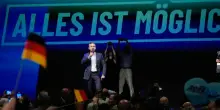 Ho chiesto lumi sul trionfo di AfD alla cuoca cinese di mia zia: ecco cosa mi ha risposto