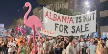Cento giorni di rivoluzione dei fenicotteri: in Albania ho appreso tre lezioni dalle proteste