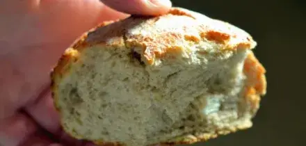 Compra mezza pagnotta, la pesa a casa e mancano 10 grammi: scatta la segnalazione all&rsquo;Ufficio Pesi e Misure, il panettiere spende 15 mila euro. Lo sfogo: &ldquo;Non recuperer&ograve; mai i soldi&rdquo;