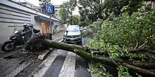 Temporali e raffiche di vento al centro-nord: alberi caduti e frane. Allagamenti in Toscana e Friuli Venezia-Giulia