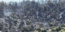 Volontario della Protezione civile arrestato per otto incendi dolosi nel Gargano. I sindaci: &ldquo;Chiarire il movente di un&rsquo;azione cos&igrave; grave&rdquo;