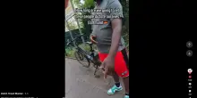 I creator anti degrado non spiegano la realt&agrave;: fanno solo infuriare chi guarda