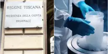 Toscana, via libera alla proposta di legge che finanzia il social freezing: fino a 3mila euro per le donne che crioconservano gli ovociti