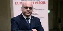 Mafia e truffe sui fondi europei, 45 condanne nel processo &ldquo;Nebrodi 2&rdquo;. Antoci: &ldquo;Una vittoria dello Stato&rdquo;