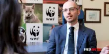 La riforma della caccia e la strage di lupi in Abruzzo, l&rsquo;inchiesta di PresaDiretta Open. La clip in anteprima