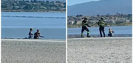 &ldquo;Sprofondavano nel fango ma non si fermavano&rdquo;: due turiste violano il divieto e si avventurano in un&rsquo;area proibita del Parco di Molentargius, salvate dai vigili del fuoco