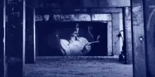 Veronica Tomassini legge in anteprima alcune pagine del suo nuovo romanzo &ldquo;Forever&rdquo;: al centro della storia le ragazze perdute, tra night, priv&eacute;, droga e uomini maturi
