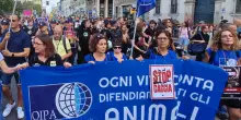 Caccia, corteo contro il ddl sparatutto a Milano. Costa: &ldquo;Il governo Meloni vuole i voti dei bracconieri&rdquo;