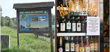 Dodicenne adescato e abusato in un parco di Torino, fermato un 20enne. Identificato grazie alle immagini del minimarket