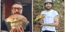 Funghi record: &egrave; gara tra Liguria e Toscana per la regione dove &egrave; stato raccolto il porcino pi&ugrave; grosso