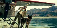 Heart of the Beast, Brad Pitt fatti da parte il vero protagonista &egrave; il pastore tedesco Odino