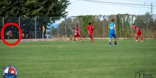 Esultano per il gol, sullo sfondo spunta un tifoso colto da un bisogno impellente: &ldquo;Quando ho scattato non mi sono accorto di nulla&rdquo; | Domeniche Bestiali