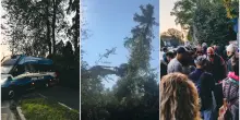 Bosco Ospizio di Reggio Emilia, le ruspe abbattono gli alberi prima della decisione del Consiglio di Stato sullo stop ai lavori