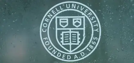 Sub&igrave; violenze sessuali da sette ragazzi alla Cornell University, solo due espulsi: per gli altri solo un tema di punizione