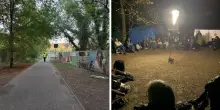 Reggio Emilia, respinta l&rsquo;istanza per fermare gli abbattimenti di Bosco Ospizio. E gli attivisti pensano gi&agrave; a nuove azioni