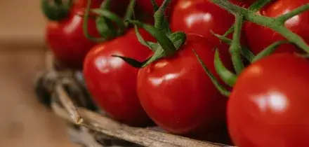 Salmonella in Puglia, via i pomodori crudi dalle mense. Numerosi focolai: &ldquo;Almeno 50 contagi, ortaggio siciliano&rdquo;