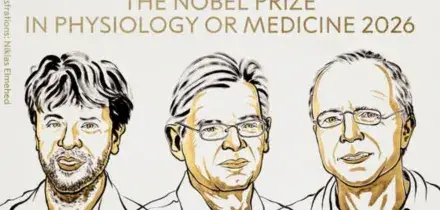 Nobel per la Medicina all&rsquo;optogenetica: premiata la scoperta che &ldquo;accende&rdquo; la luce sui misteri del cervello