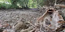 Turano, il fiume che scompare sotto la diga: la battaglia sull&rsquo;acqua per Enel