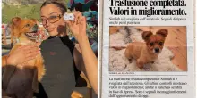 &ldquo;Urgente, Simbah ha bisogno di sangue &lsquo;Dea 1 negativo&rsquo;. Cerchiamo un cane donatore&rdquo;: l&rsquo;appello di Soleil Sorge per salvare la propria cagnolina