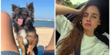 &ldquo;Non ero pronta a vivere senza di te. Mi sta sanguinando il cuore. Con te muore una parte della mia anima&rdquo;: Matilde Gioli in lutto per la morte del suo cane Kalel