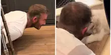 &ldquo;Tuo padre con il cane che ti ha detto di non prendere&rdquo;: David Beckham &ldquo;innamorato&rdquo; del golden retriever di suo figlio Cruz &ndash; VIDEO